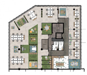Grundriss 1 OG - 585 m²