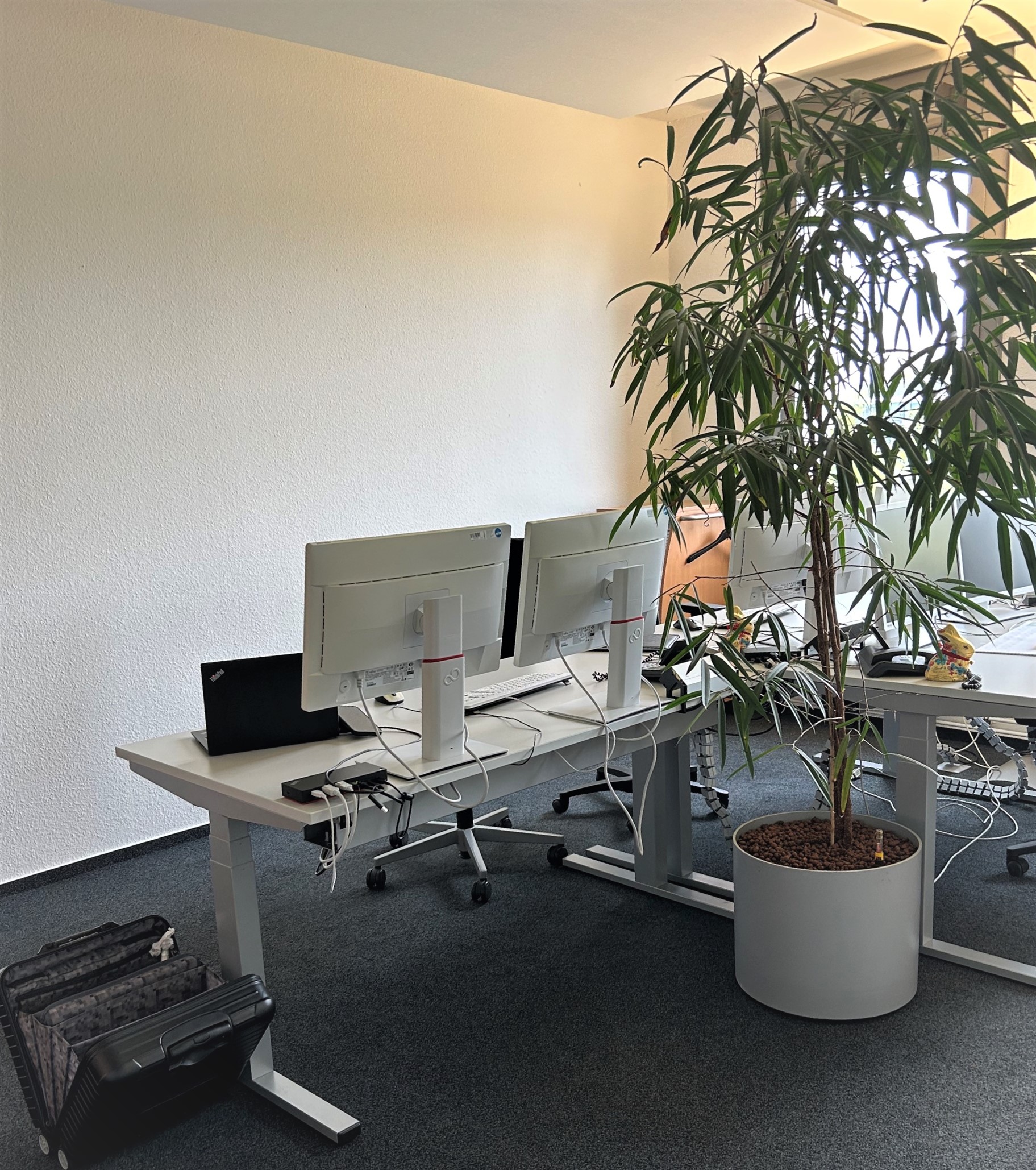 MicrosoftTeams-image (9)