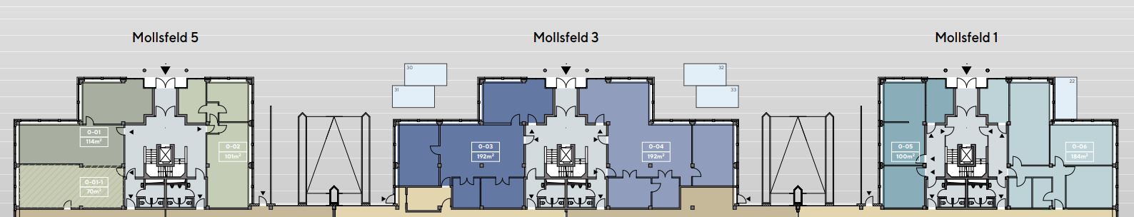 Grundriss EG Mollsfeld 1-5