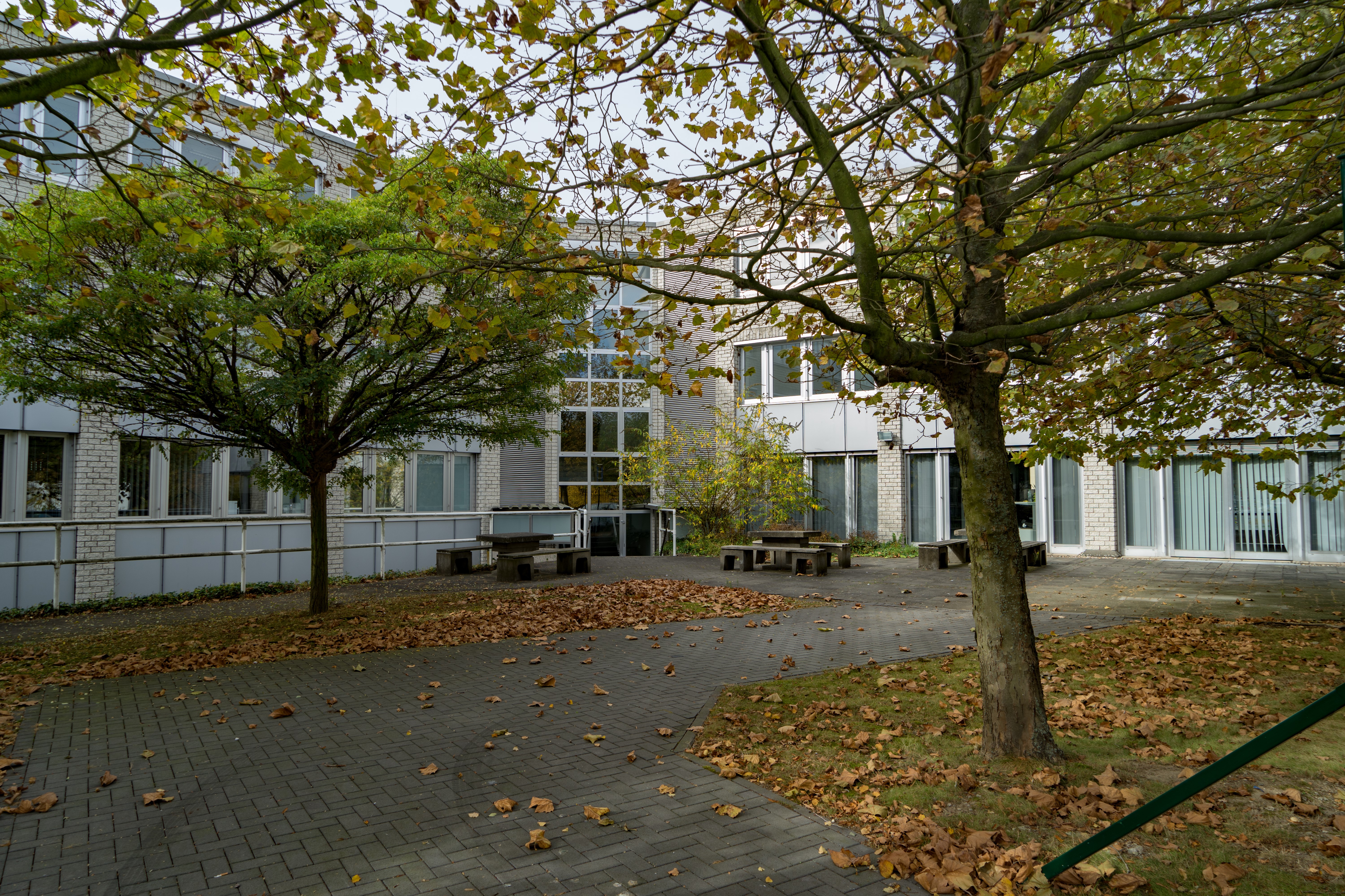 Rückseite
