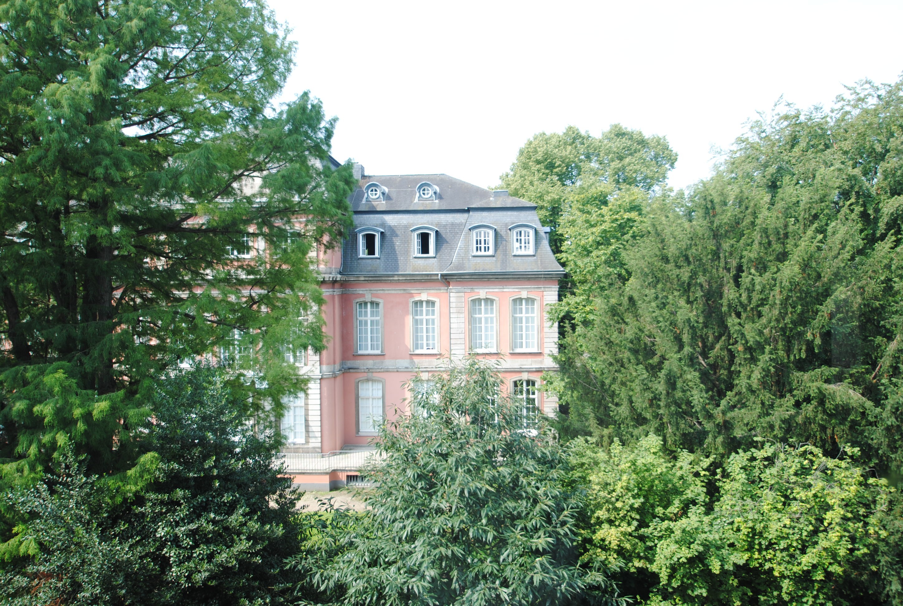 Ausblick