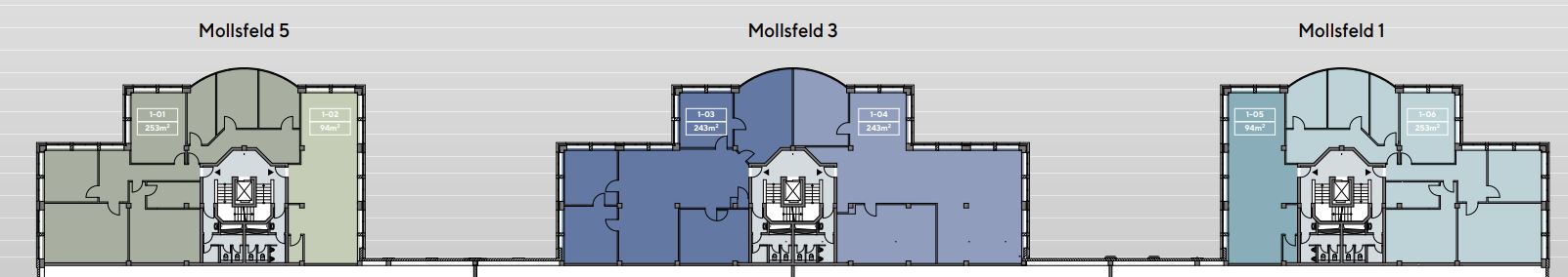 Grundriss 1 OG Mollsfeld 1-5