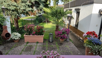 NEU! Traumhaftes Anwesen vorübergehend stark preisreduziert (SOMMERAKTION)! 5-MFH & 2. Haus & Garten