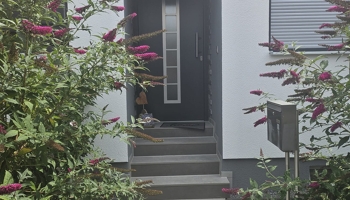 Haus
