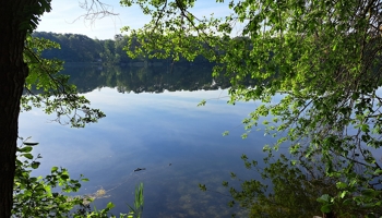Idyllisches Wassergrundstück mit eigener Badestelle