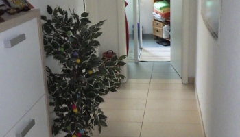 Helle 3-Zimmer Wohnung in Budenheim ❗prov.frei❗