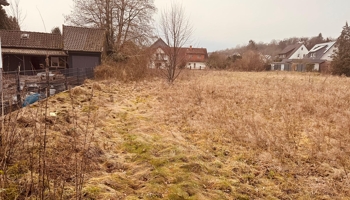 Baugrundstück für Mehrfamilienhausbebauung in 31812 Bad Pyrmont Holzhausen