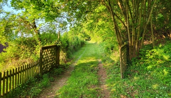 einzigartiges Grundstückpaket: Wohngebäude, Baufläche, 5ha Wald