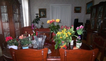 Schöne geräumige Wohnung in der  Nähe der Stadtmitte