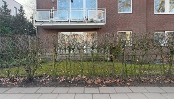 Exklusive 2-Zi. Erdgeschosswohnung mit Terasse&Stellplatz