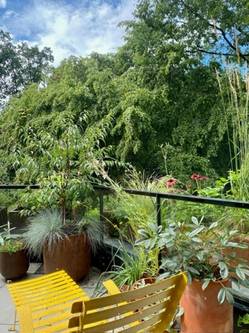 Lichtdurchflutete Maisonette mit großzügiger Westterrasse – Wohnen Volksdorf