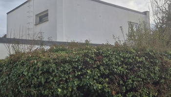 Zeitloser Bauhausklassiker im Grünen