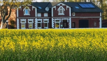 Dithmarscher Bauernhaus mit Hausweide, Boxen für Pferde/Schafe/Alpakas, Heuboden, modernisiert 