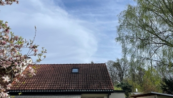 Kleines Einfamilienhaus mit separatem Nebenhaus & Waschhaus in Heiligensee