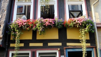 Fachwerk-Träumchen in der historischen Altstadt 