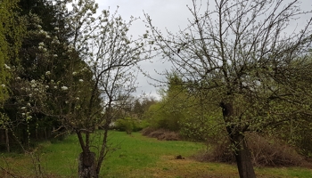 Grundstück im sonnigen Wochendhausgebiet Osterhalde