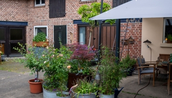 Resthof - Bauernhaus -Haus - Investoren- Gewerbegrundstück - Ortskern 