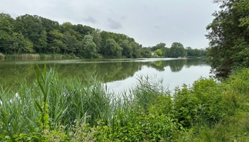 Wohnen in Bestlage direkt am Cappenberger See