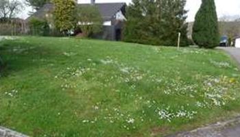 Sonniges Baugrundstück in ruhiger Höhenlage