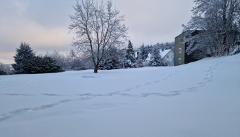 Lage, Lage, Lage!  Schöne 1 Raum Ferienwohnung in Winterberg - Provisionsfrei vom Eigentümer 