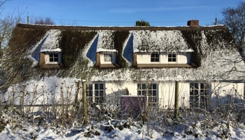 direkt vom Eigentümer: Modernisiertes Reetdachhaus mit 3 Eigentums-Wohnungen (WEG) zum Kauf in SPO