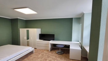 1-Zimmer-Wohnung mit Einbauküche gesucht