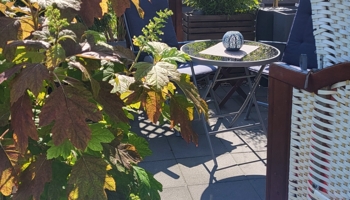 Liebevolle eingerichtete 2 Zimmer Whg. von Privat zu verkaufen