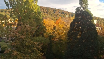 Unvermietete 2,5 Zimmer Wohnung mit herrlicher Aussicht am Ortsrsnd von Denzlingen zu verkaufen.