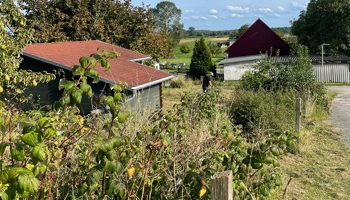 Baugrundstück Insel Usedom mit Obstbäumen, Gartenhaus und Brunnen