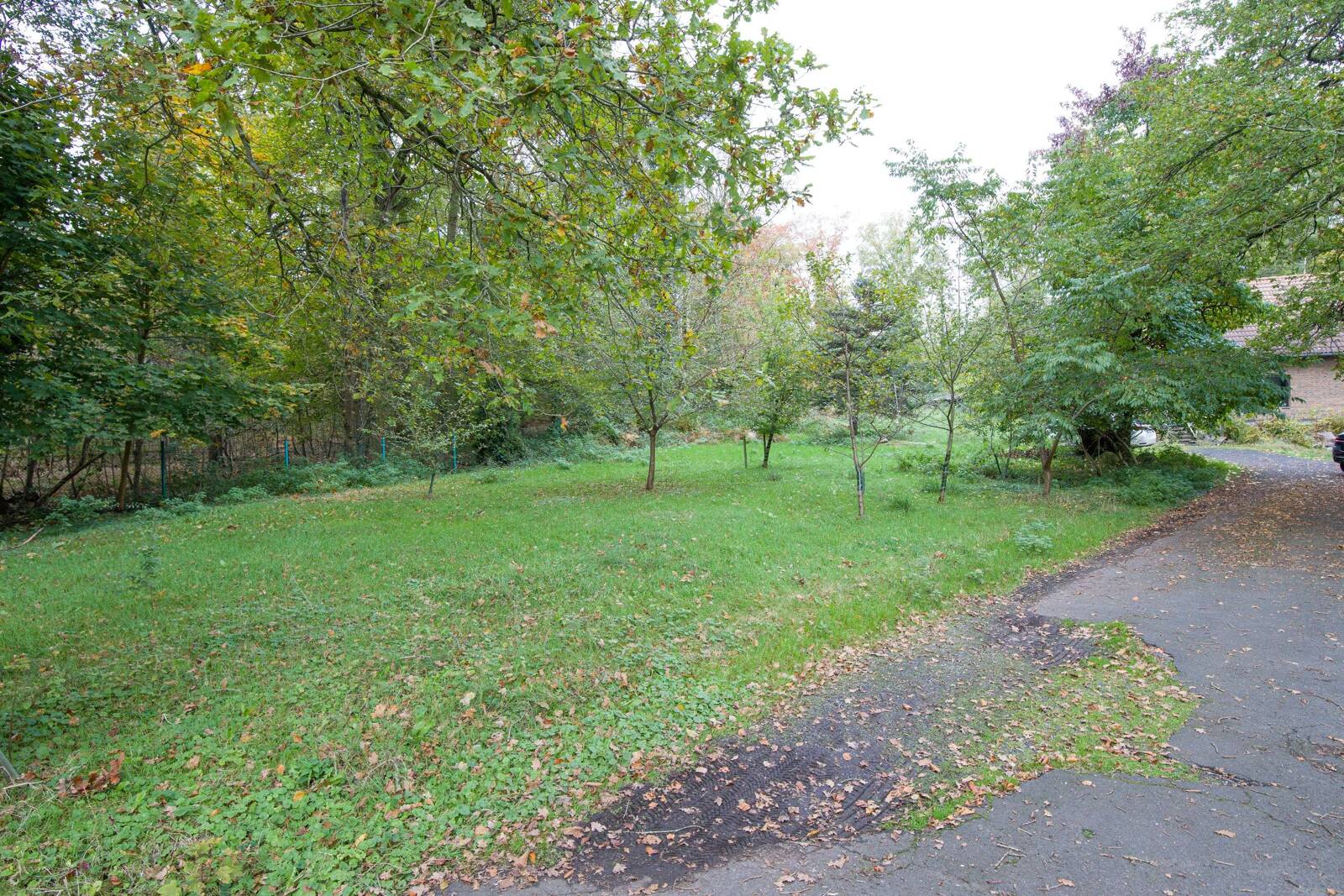 Garten Ansicht 2