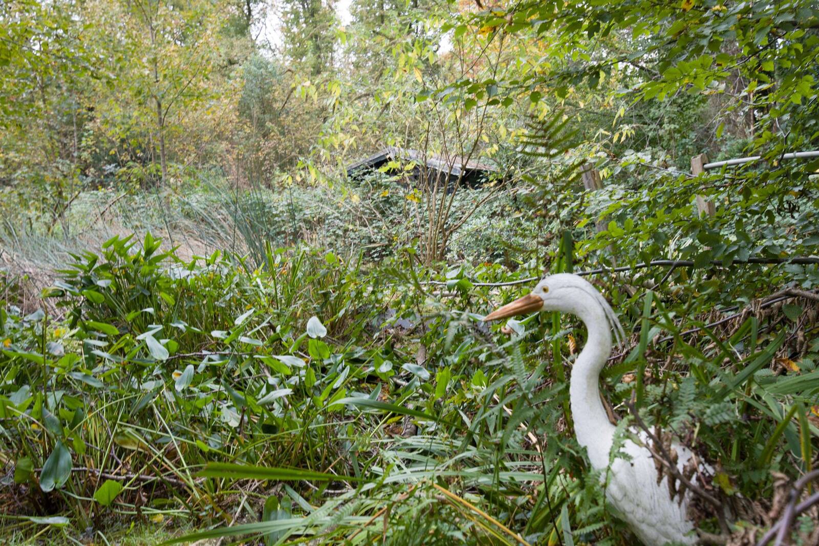 Gartenansicht 3