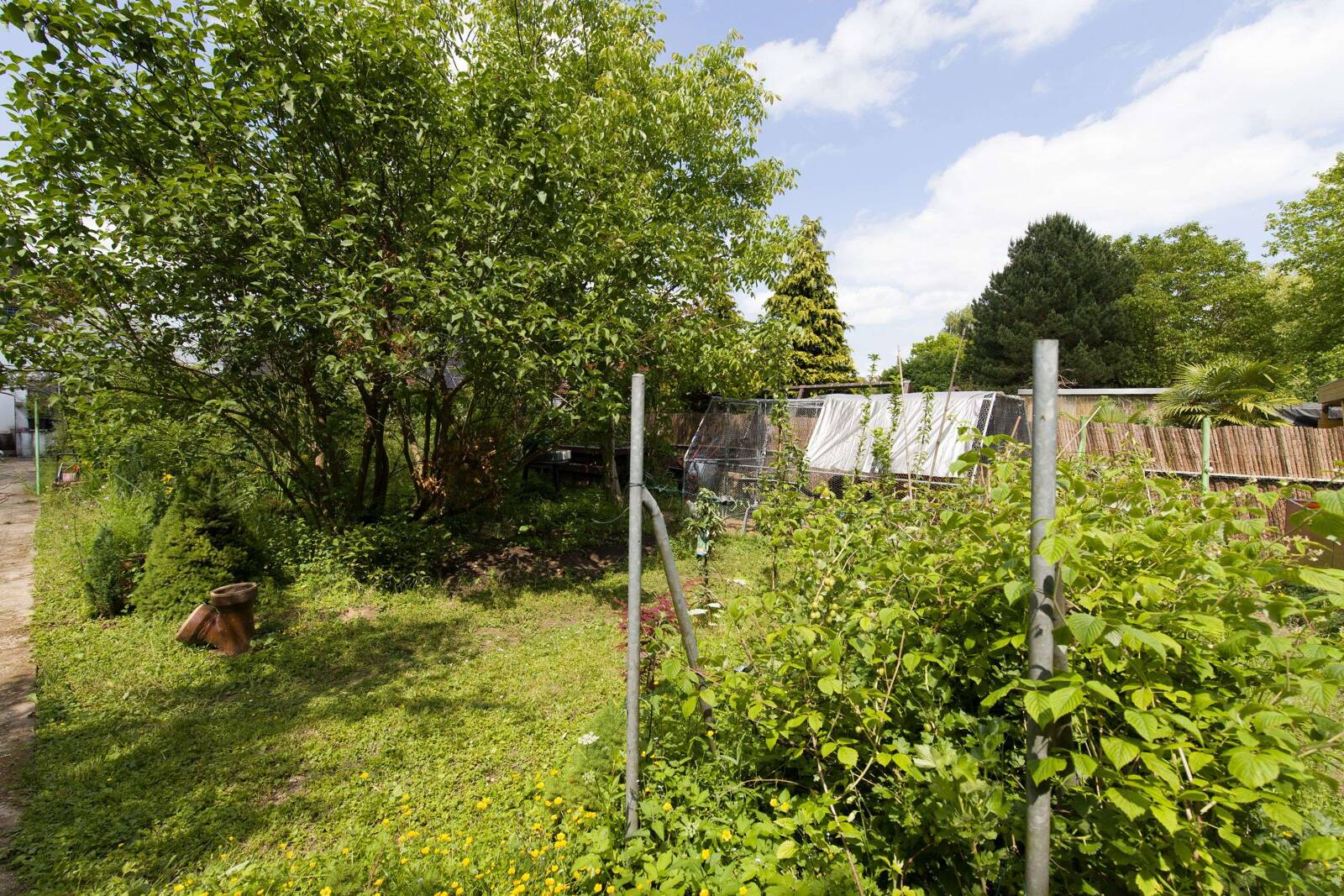 Gartenansicht 2