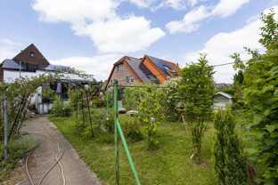Gartenansicht 3