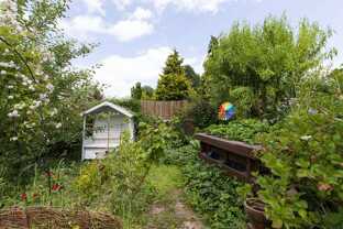 Gartenansicht 4