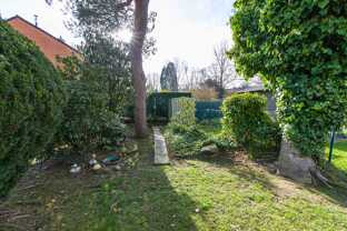 hinterer Garten