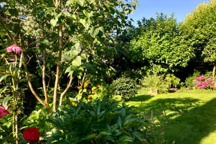 Garten Ansicht 3