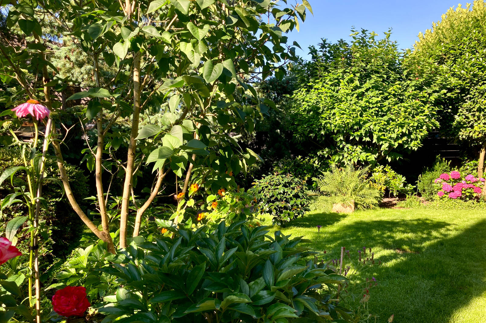 Garten Ansicht 3