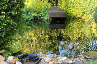 Garten Ansicht 2