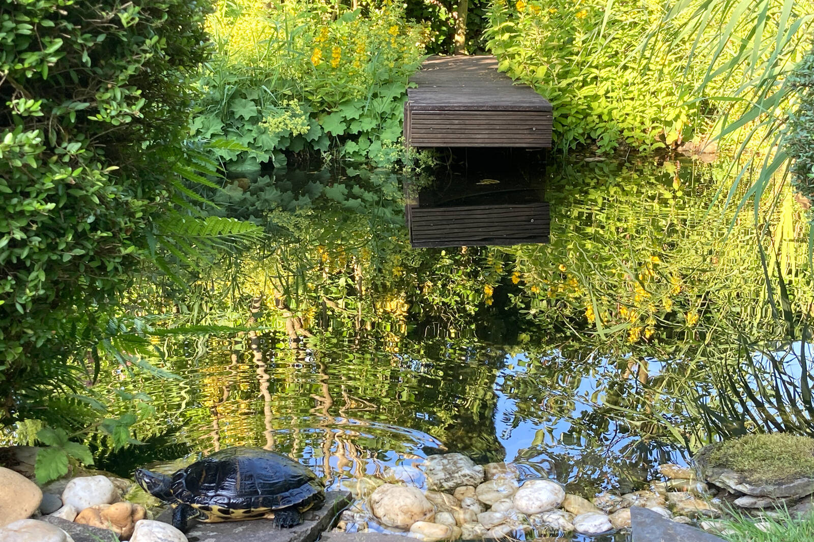 Garten Ansicht 2