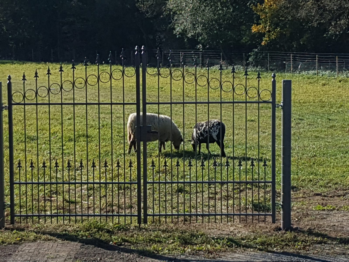 VERKAUFT! Hof-Anwesen mit Pferdestall u. Reitplatz. 2,9 ha Fläche mit