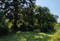 Grundstück
