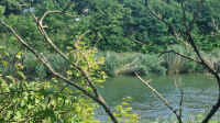 Blick auf den Kanal
