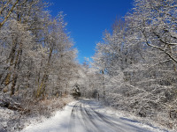 Deister - Winterzauber!
