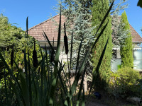 Frontansicht - "Undercover!"